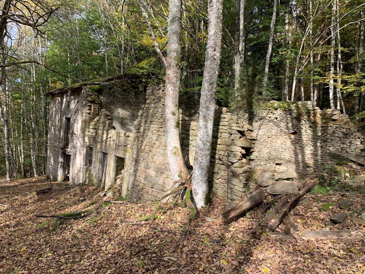 Gite " Oree Des Bois" Vertolaye Luaran gambar