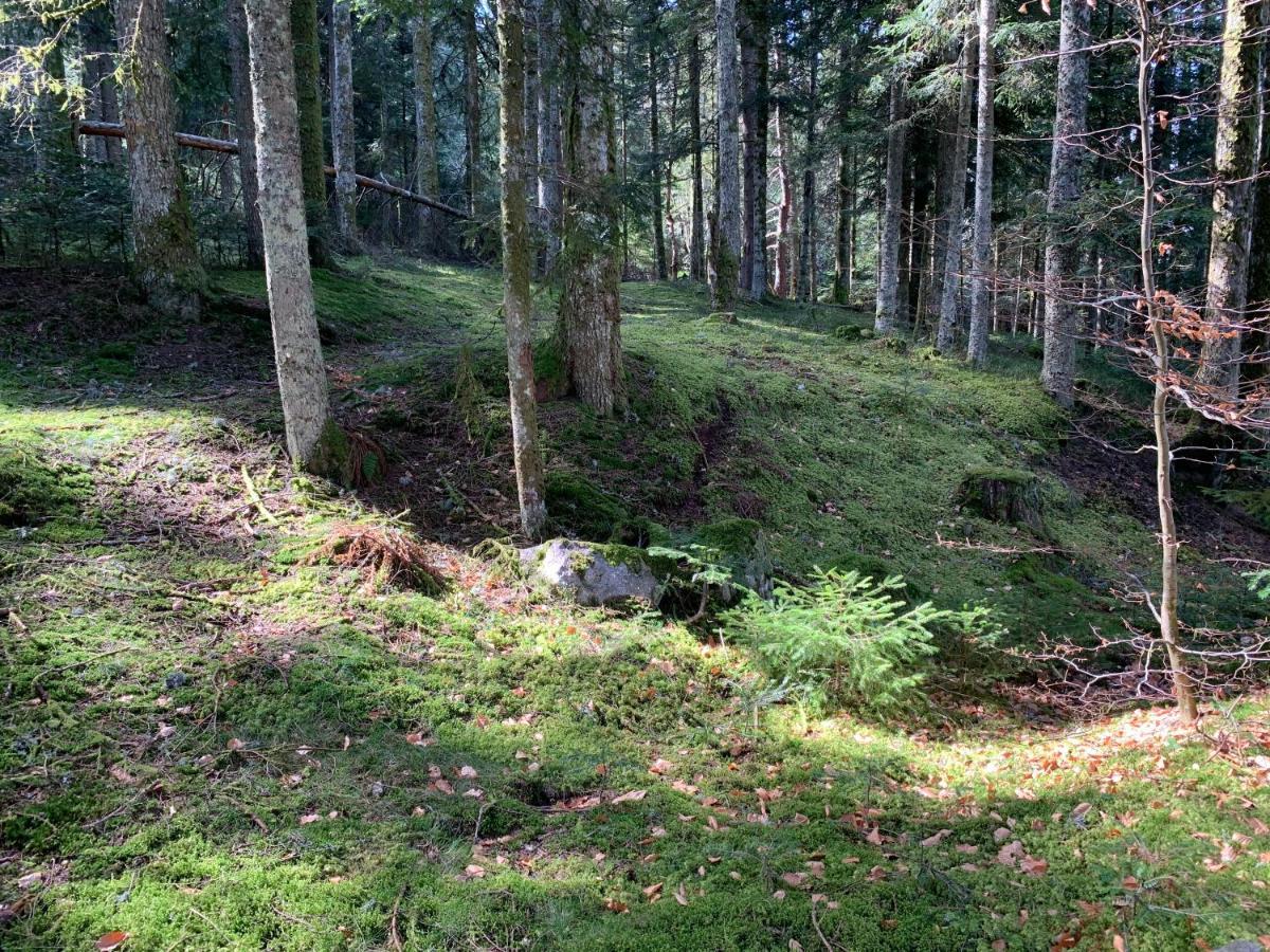 Gite " Oree Des Bois" Vertolaye Luaran gambar