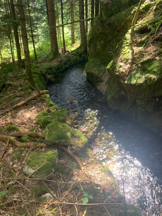 Gite " Oree Des Bois" Vertolaye Luaran gambar