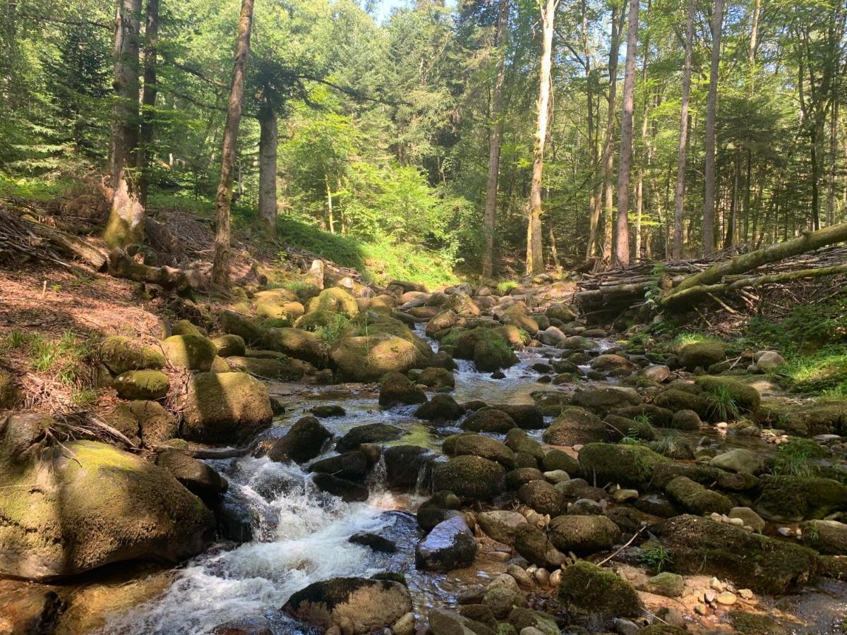 Gite " Oree Des Bois" Vertolaye Luaran gambar