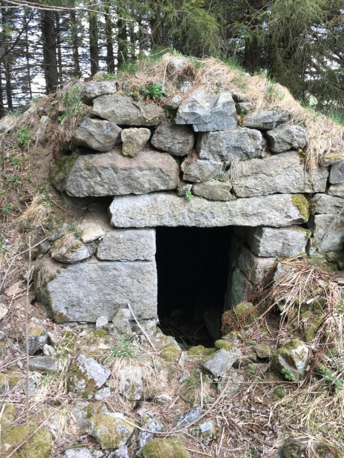 Gite " Oree Des Bois" Vertolaye Luaran gambar